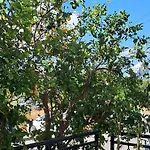 Apartman Andria's Luxury Family Near Casino Limassol