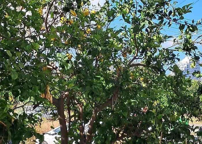 Apartmán Andria's Luxury Family Near Casino Lemesos